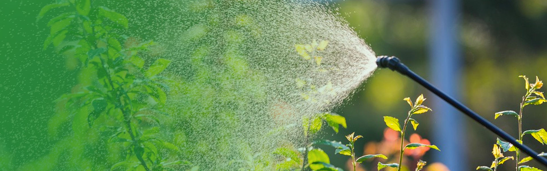 Was ist der Unterschied zwischen einem Nebelgebläse und einem Power Sprayer?